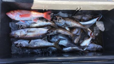 康仁丸・ジギング釣り果